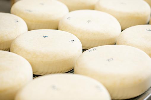 How to optimize a cheese production line?