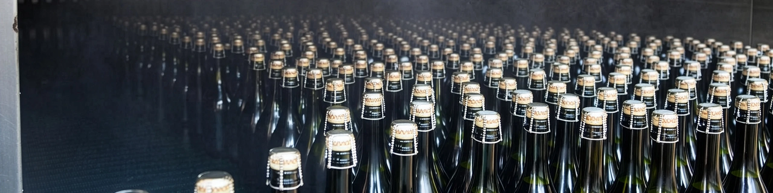 https://storcan.com/wp-content/uploads/2026/02/storcan-bouteilles-scaled.webp